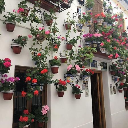 Apartamento Zoco Córdoba Exteriér fotografie