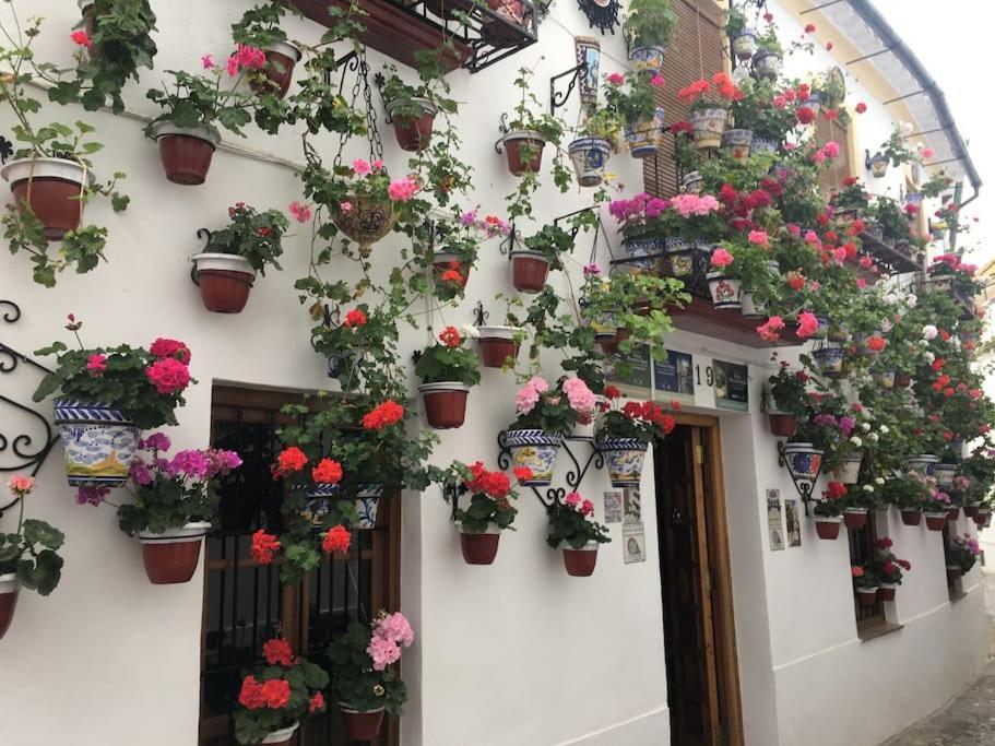 Apartamento Zoco Córdoba Exteriér fotografie