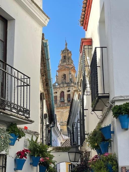 Apartamento Zoco Córdoba Exteriér fotografie